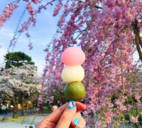 世界上最美味的9种街头料理美食！